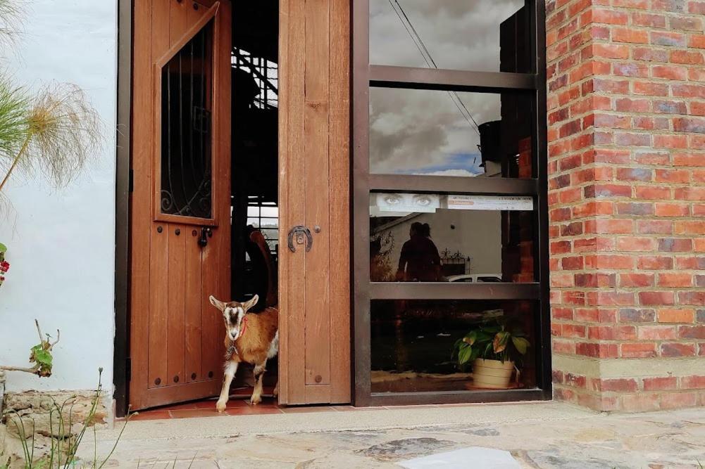 Cabanas & Glamping De Ruana Por Boyaca Paipa Dış mekan fotoğraf