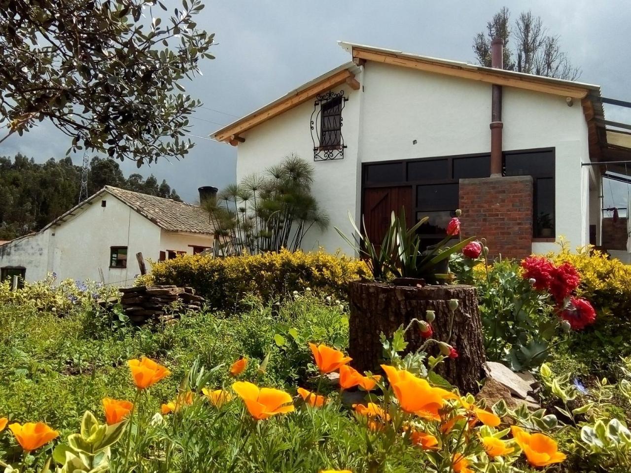 Cabanas & Glamping De Ruana Por Boyaca Paipa Dış mekan fotoğraf